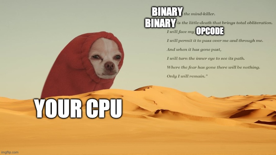 dunememe